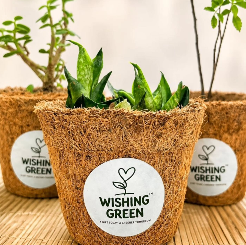 Eco Planters